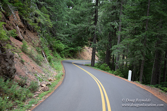 Road M384P