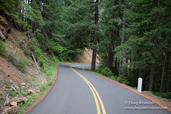 Road M384P