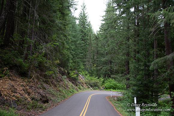 Road M384P