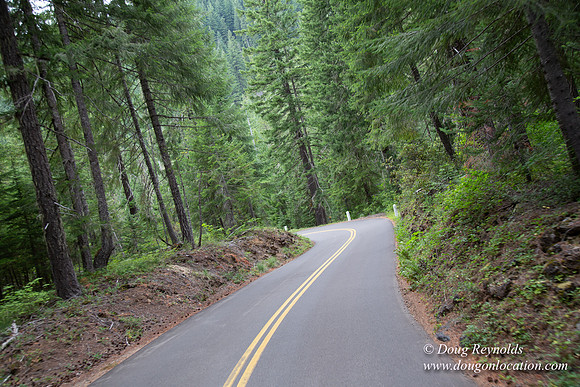 Road M384P