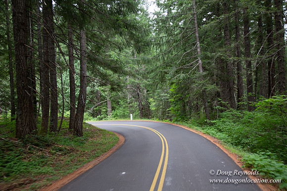 Road M384P