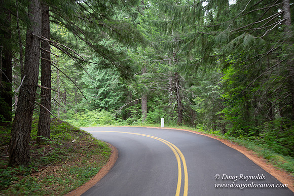 Road M384P