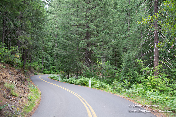 Road M384P