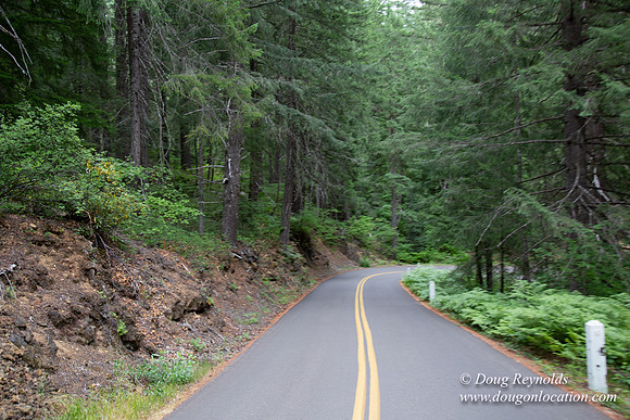 Road M384P