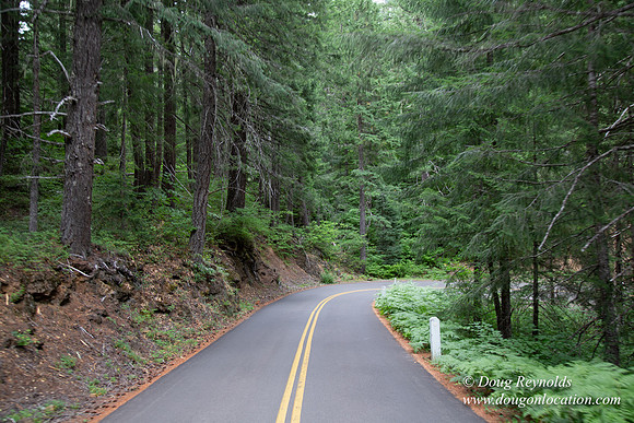 Road M384P