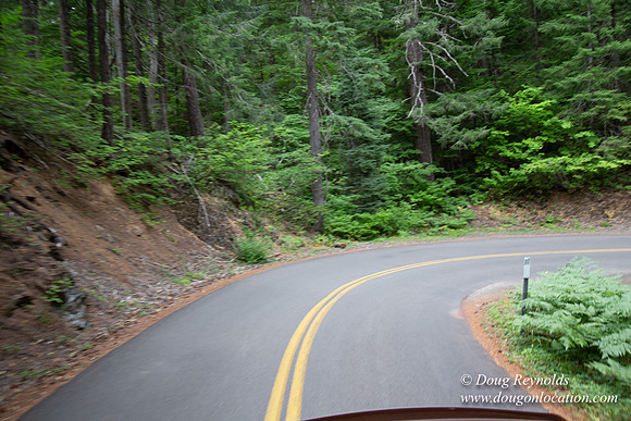 Road M384P