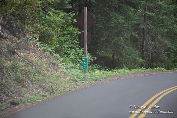 Road M384P