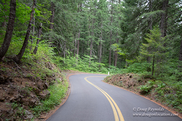 Road M384P