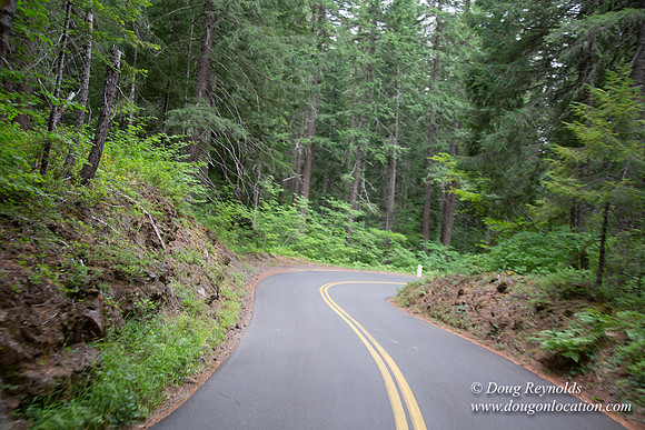 Road M384P