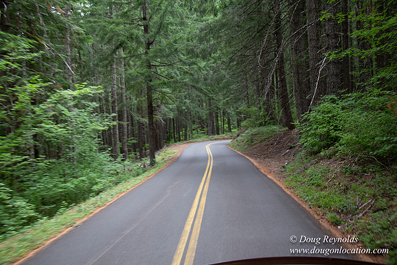 Road M384P