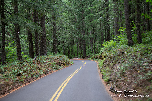 Road M384P