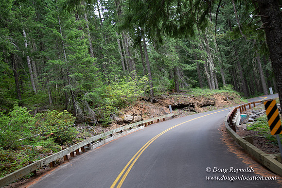 Road M384P