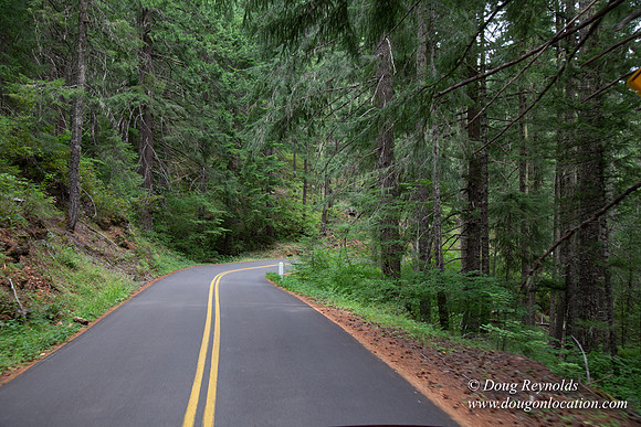 Road M384P