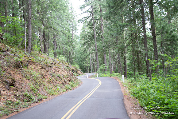 Road M384P