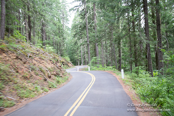 Road M384P