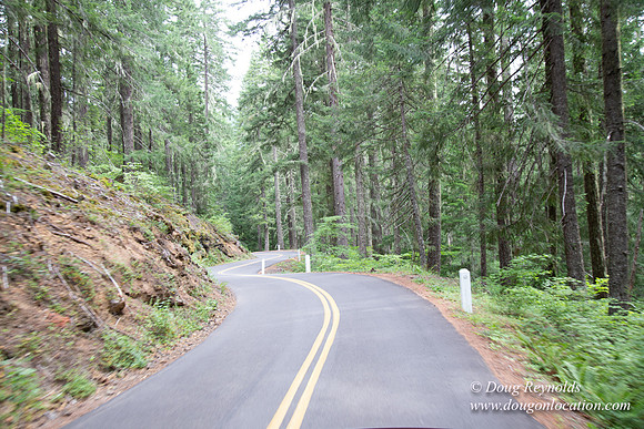 Road M384P