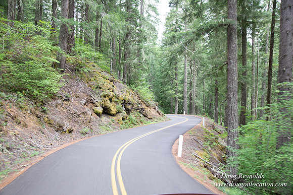 Road M384P