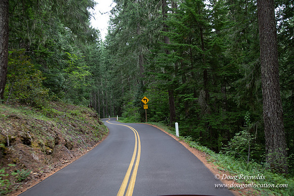 Road M384P