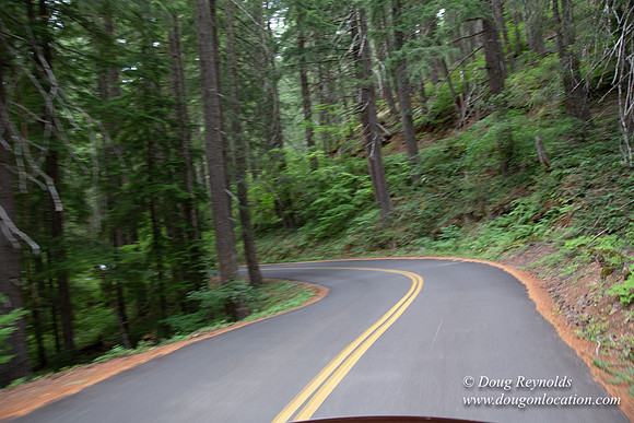 Road M384P