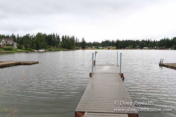 Cabin, Curtis, Dock, Green, Home, Lake, Small, WA, Washington, Yard, Yard, deck