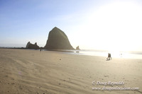 33 Beach CB5-1470