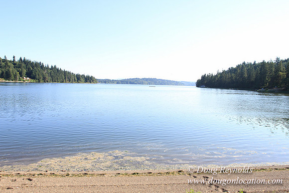 Boat, Cabin, Dave's, Dock, Home, "House lake", Ocean, "Puget Sound", Salt, Small, WA, Washington, Water, Yard, deck, "green. Beach", vacation