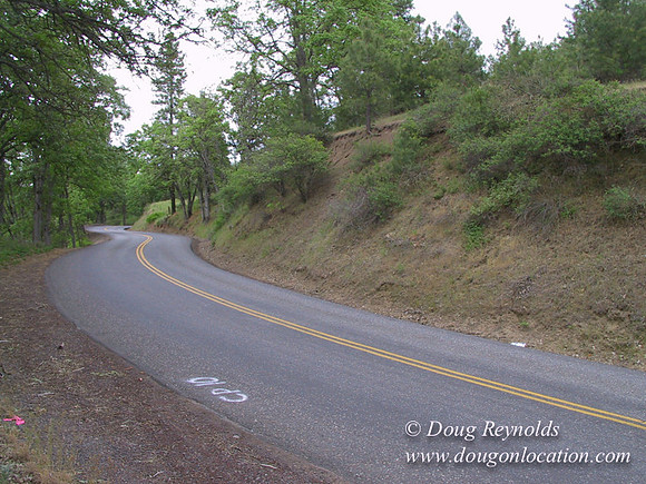 WA Canyon Rd- 7388