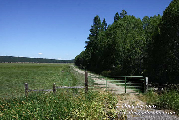 2500 Acres of green fields Creeks water crossing Bridges on a Large Lake and miles of Dirt roads Oak trees Forest land ATV Trails cows