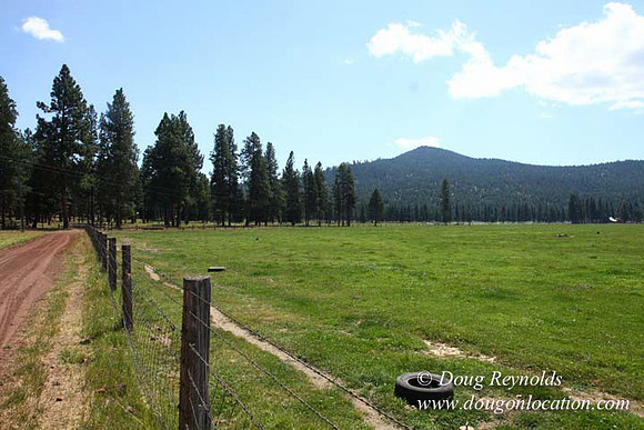 2500 Acres of green fields Creeks water crossing Bridges on a Large Lake and miles of Dirt roads Oak trees Forest land ATV Trails cows
