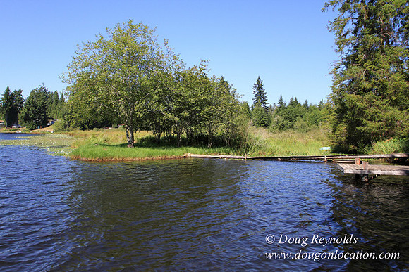 Richter Lake House-8447