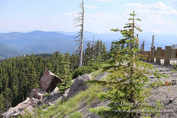 Timberline East rock-6820