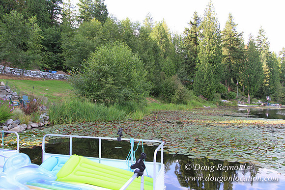 Kathys Lake House-7471