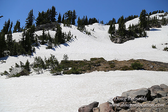 Medow's Snow-5709