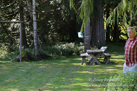 Cabin ,Home, House, River, Yard, Shop, Barn, Garden, Stream,
