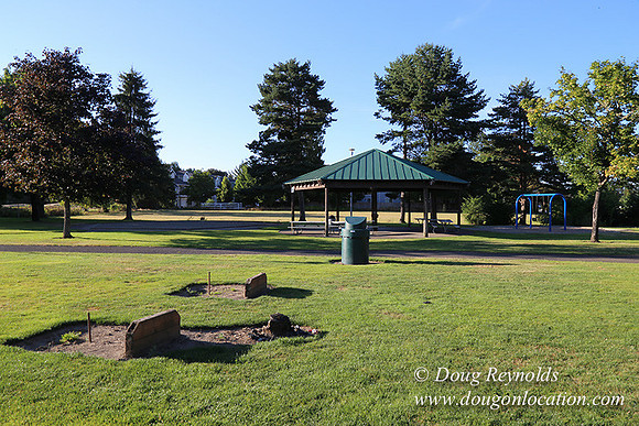 Lincoln Park-0660