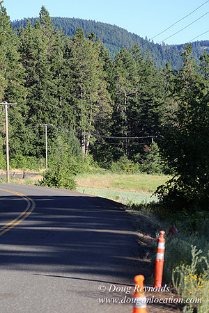 Elk Haven Ranch-8579