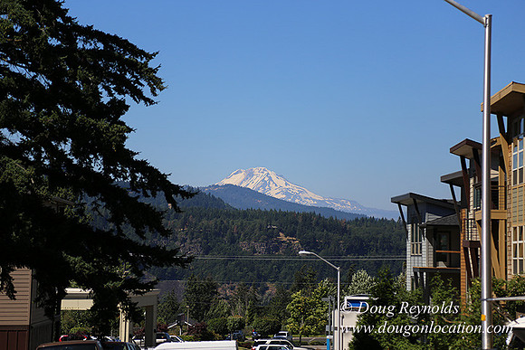 Silkirk Town Homes-8154