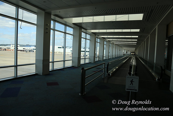 PDX C_D Crossover-3706