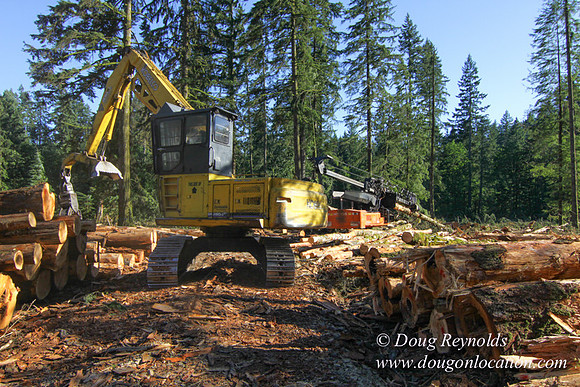Craig Logging-3173