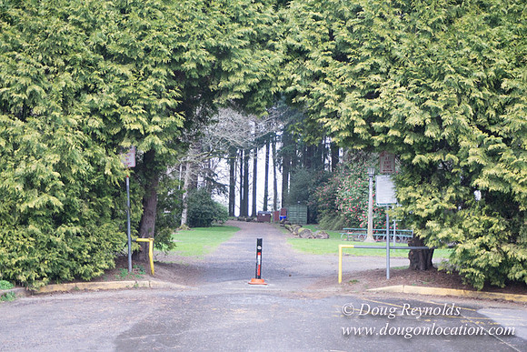 Sellwood Park-2298
