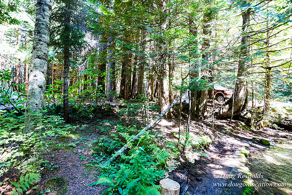 Karri's Cabin