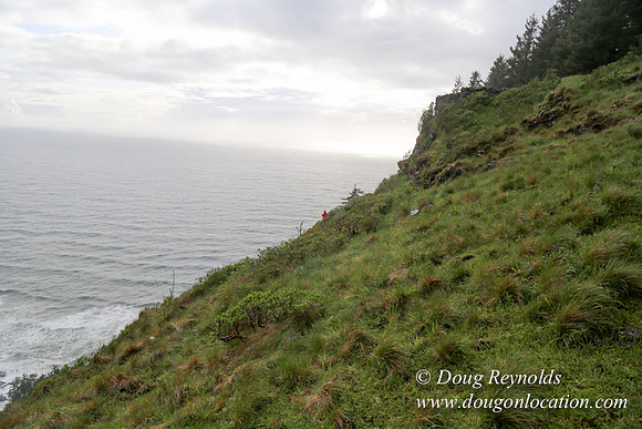 Ross Cape Perpetua-1755