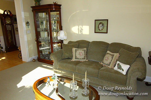 Barbra's Home-9299