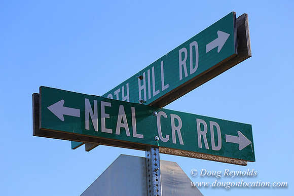 Neil Creek Horses-8536