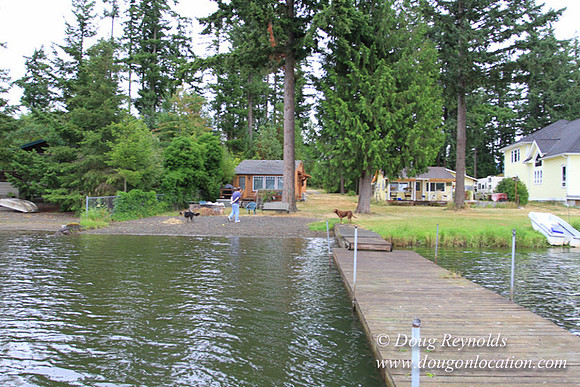 Cabin, Curtis, Dock, Green, Home, Lake, Small, WA, Washington, Yard, Yard, deck
