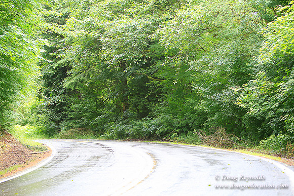 Brower Rd