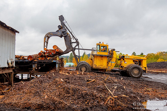 B Lumber Mill