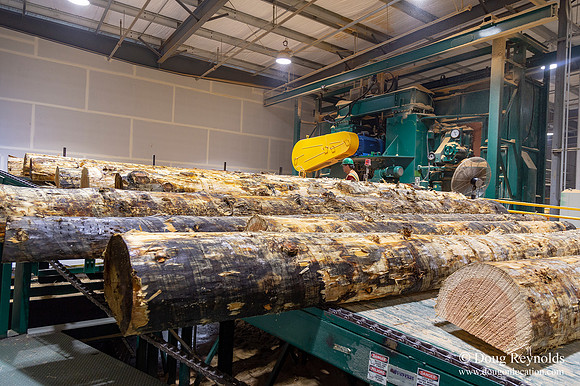B Lumber Mill