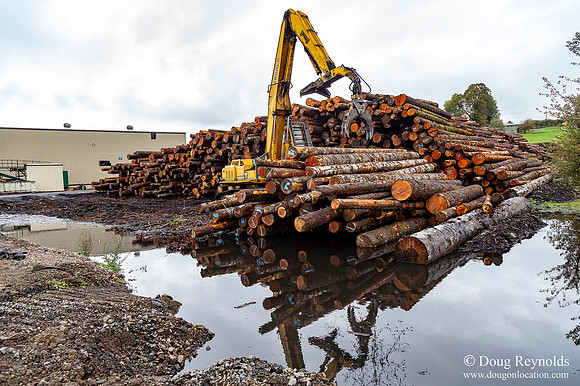 B Lumber Mill