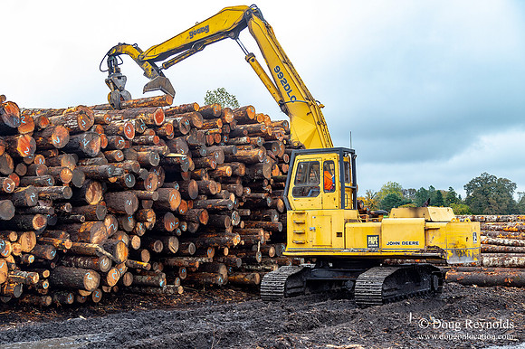 B Lumber Mill